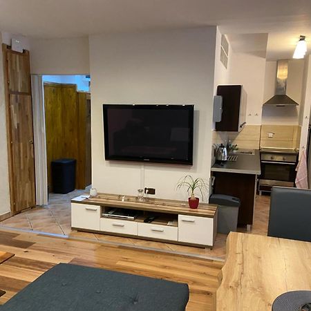 Apartman Orlicke Hory Orlicke Zahori Exterior photo