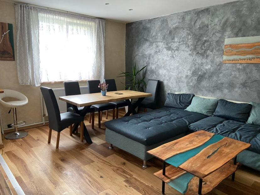 Apartman Orlicke Hory Orlicke Zahori Exterior photo